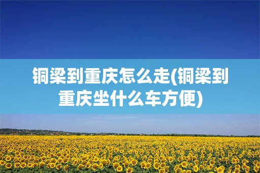 铜梁到重庆怎么走(铜梁到重庆坐什么车方便)
