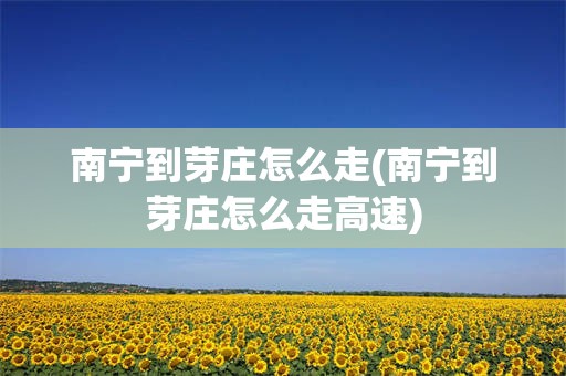 南宁到芽庄怎么走(南宁到芽庄怎么走高速)