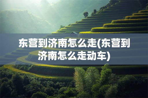 东营到济南怎么走(东营到济南怎么走动车)