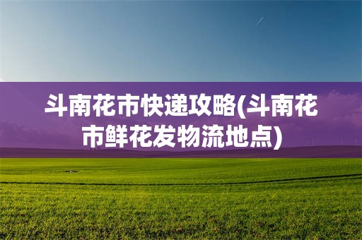 斗南花市快递攻略(斗南花市鲜花发物流地点)