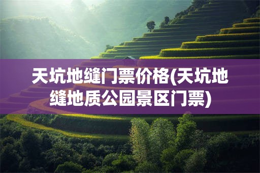 天坑地缝门票价格(天坑地缝地质公园景区门票)