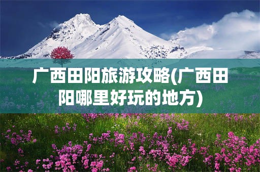 广西田阳旅游攻略(广西田阳哪里好玩的地方)