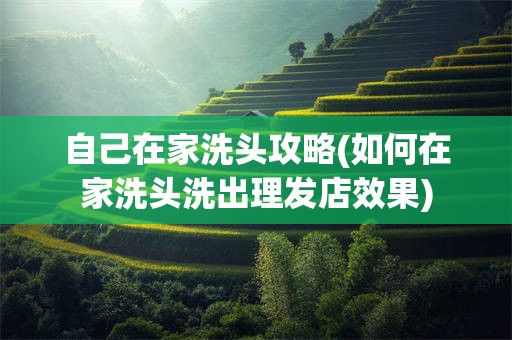 自己在家洗头攻略(如何在家洗头洗出理发店效果)