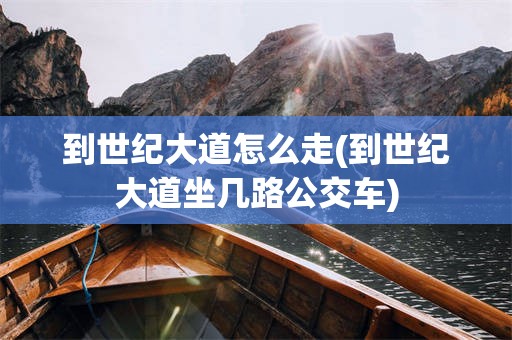 到世纪大道怎么走(到世纪大道坐几路公交车)
