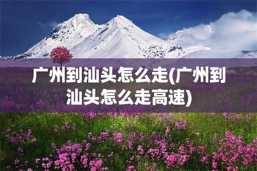 广州到汕头怎么走(广州到汕头怎么走高速)