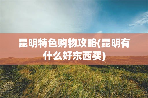 昆明特色购物攻略(昆明有什么好东西买)