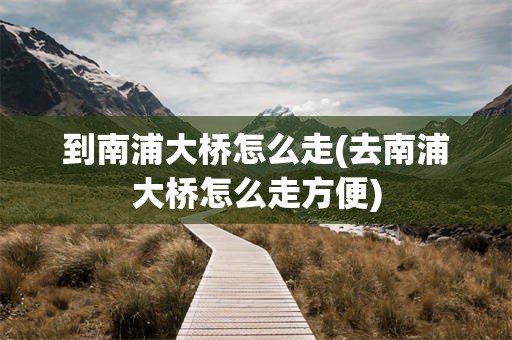 到南浦大桥怎么走(去南浦大桥怎么走方便)