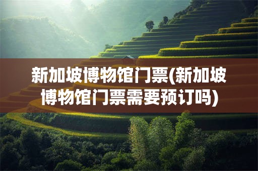 新加坡博物馆门票(新加坡博物馆门票需要预订吗)