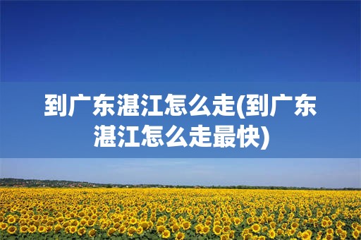 到广东湛江怎么走(到广东湛江怎么走最快)