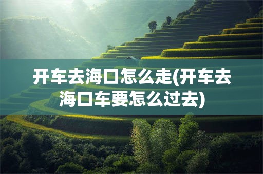 开车去海口怎么走(开车去海口车要怎么过去)