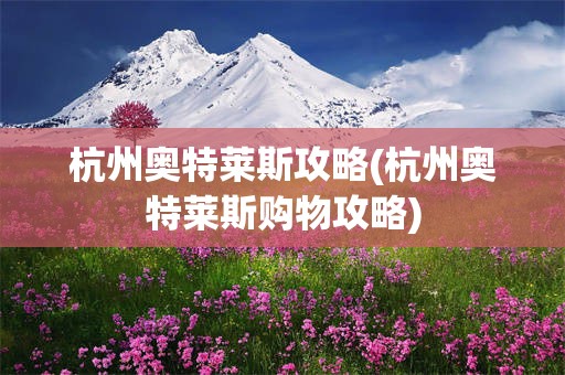 杭州奥特莱斯攻略(杭州奥特莱斯购物攻略)
