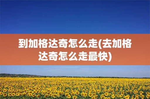 到加格达奇怎么走(去加格达奇怎么走最快)