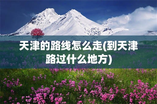 天津的路线怎么走(到天津路过什么地方)