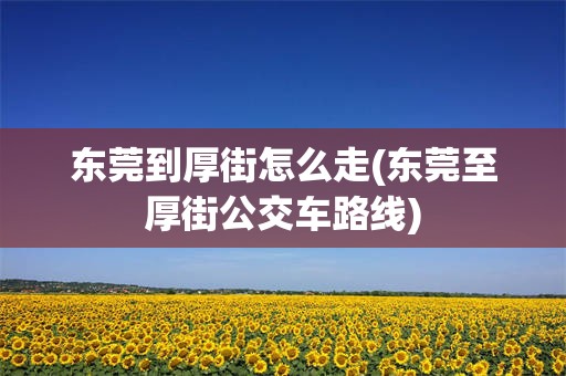 东莞到厚街怎么走(东莞至厚街公交车路线)