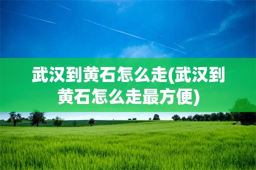 武汉到黄石怎么走(武汉到黄石怎么走最方便)
