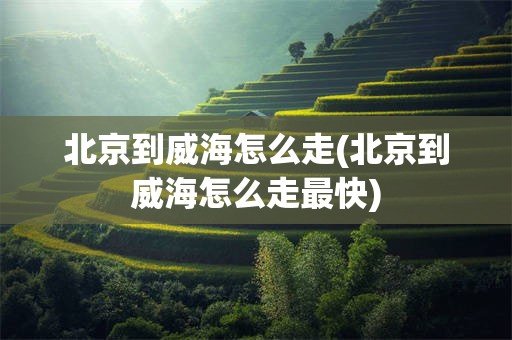 北京到威海怎么走(北京到威海怎么走最快)