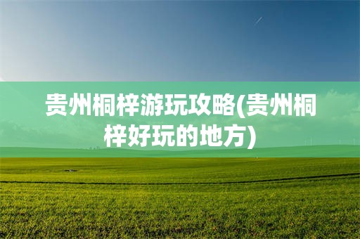贵州桐梓游玩攻略(贵州桐梓好玩的地方)