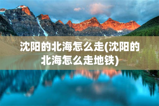 沈阳的北海怎么走(沈阳的北海怎么走地铁)