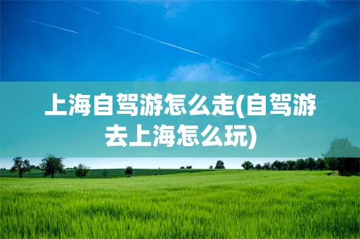 上海自驾游怎么走(自驾游去上海怎么玩)