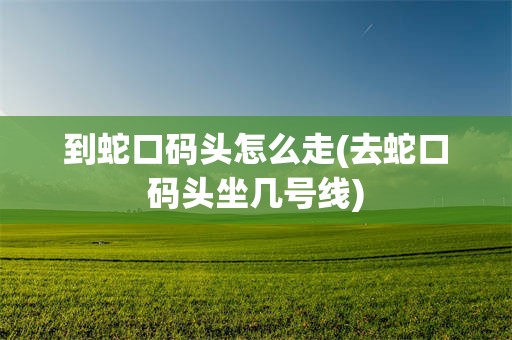 到蛇口码头怎么走(去蛇口码头坐几号线)