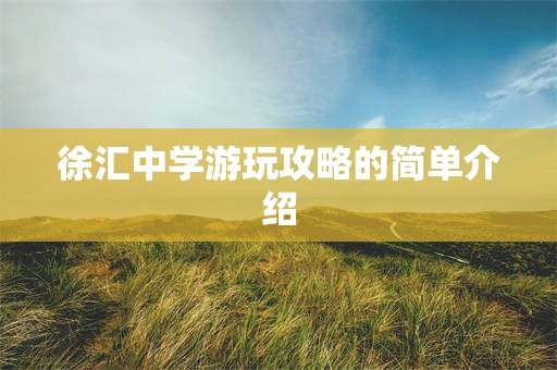 徐汇中学游玩攻略的简单介绍