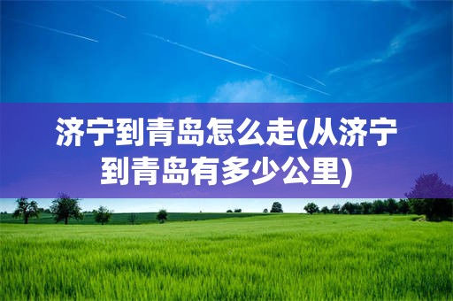 济宁到青岛怎么走(从济宁到青岛有多少公里)