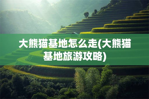 大熊猫基地怎么走(大熊猫基地旅游攻略)