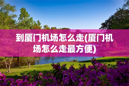 到厦门机场怎么走(厦门机场怎么走最方便)