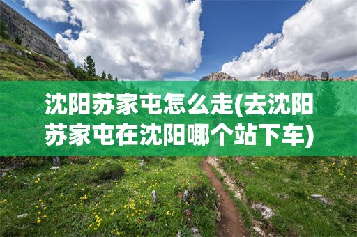 沈阳苏家屯怎么走(去沈阳苏家屯在沈阳哪个站下车)