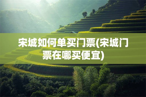 宋城如何单买门票(宋城门票在哪买便宜)