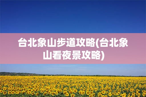台北象山步道攻略(台北象山看夜景攻略)