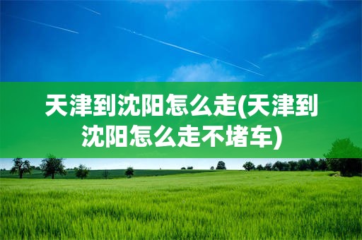 天津到沈阳怎么走(天津到沈阳怎么走不堵车)