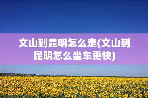 文山到昆明怎么走(文山到昆明怎么坐车更快)
