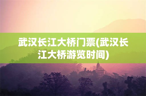 武汉长江大桥门票(武汉长江大桥游览时间)
