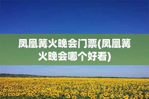 凤凰篝火晚会门票(凤凰篝火晚会哪个好看)
