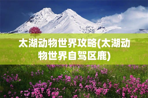 太湖动物世界攻略(太湖动物世界自驾区鹿)