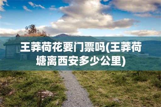 王莽荷花要门票吗(王莽荷塘离西安多少公里)