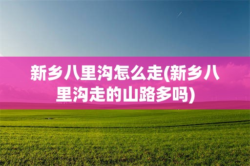 新乡八里沟怎么走(新乡八里沟走的山路多吗)