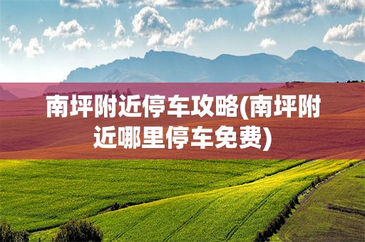 南坪附近停车攻略(南坪附近哪里停车免费)