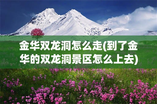 金华双龙洞怎么走(到了金华的双龙洞景区怎么上去)