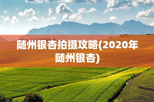 随州银杏拍摄攻略(2020年随州银杏)