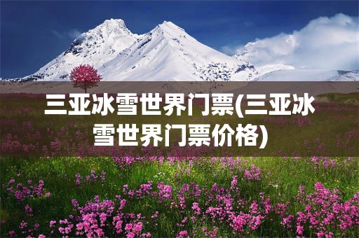 三亚冰雪世界门票(三亚冰雪世界门票价格)