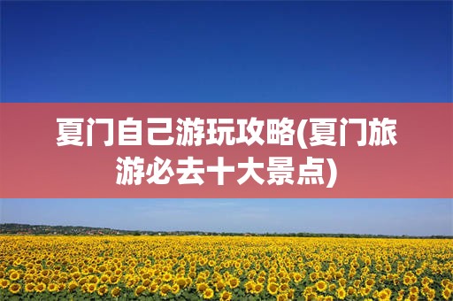 夏门自己游玩攻略(夏门旅游必去十大景点)