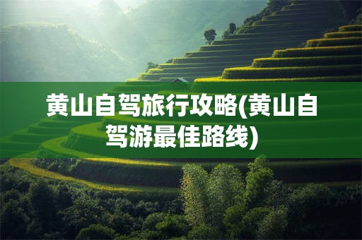 黄山自驾旅行攻略(黄山自驾游最佳路线)
