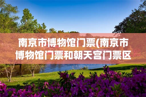 南京市博物馆门票(南京市博物馆门票和朝天宫门票区别)