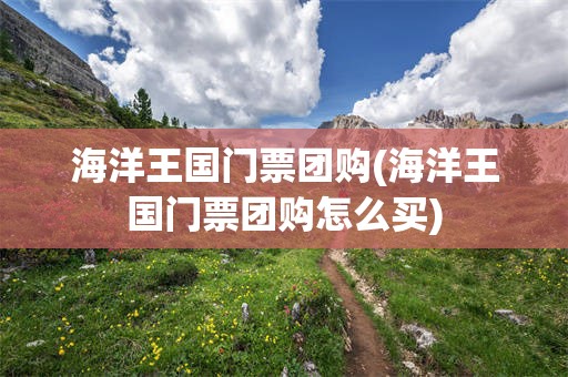 海洋王国门票团购(海洋王国门票团购怎么买)