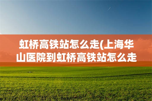 虹桥高铁站怎么走(上海华山医院到虹桥高铁站怎么走)