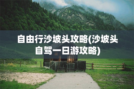 自由行沙坡头攻略(沙坡头自驾一日游攻略)