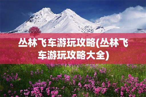 丛林飞车游玩攻略(丛林飞车游玩攻略大全)