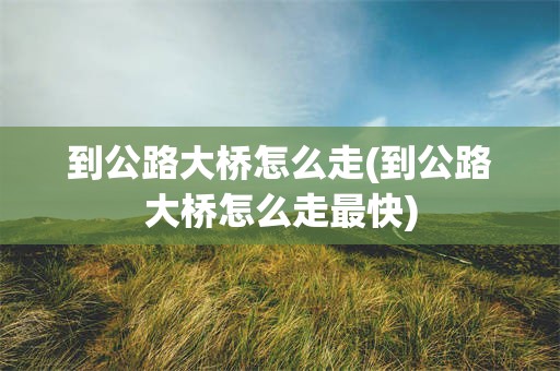 到公路大桥怎么走(到公路大桥怎么走最快)